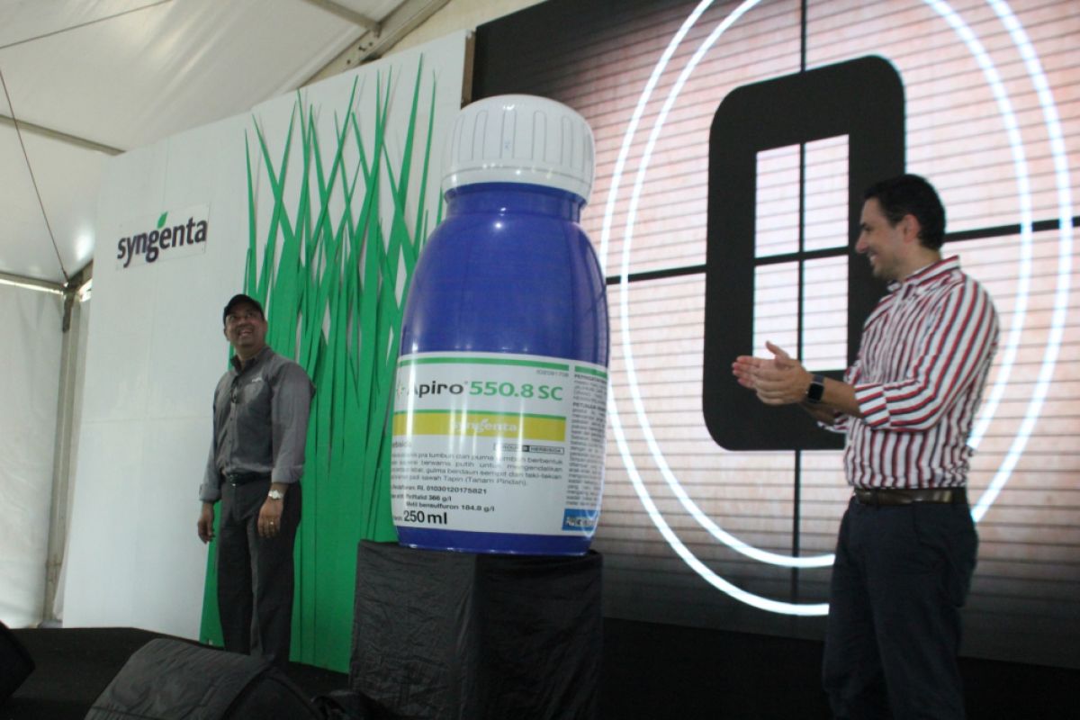 Syngenta Menghadirkan Teknologi Baru Insektisida INCIPIO untuk Pengendalian Hama Pada Tanaman Padi