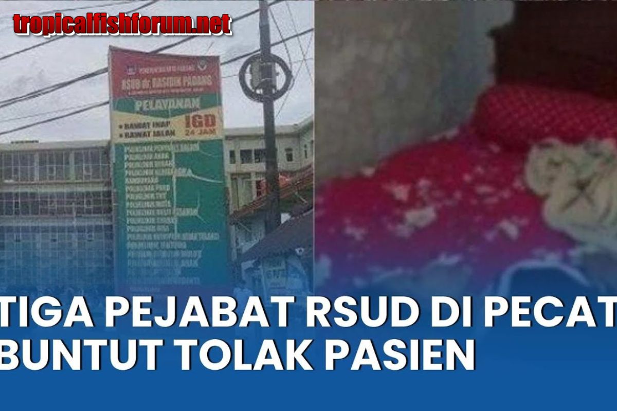 Direktur RSUD Padang Dinonaktifkan Buntut Tolak Pasien Masuk IGD