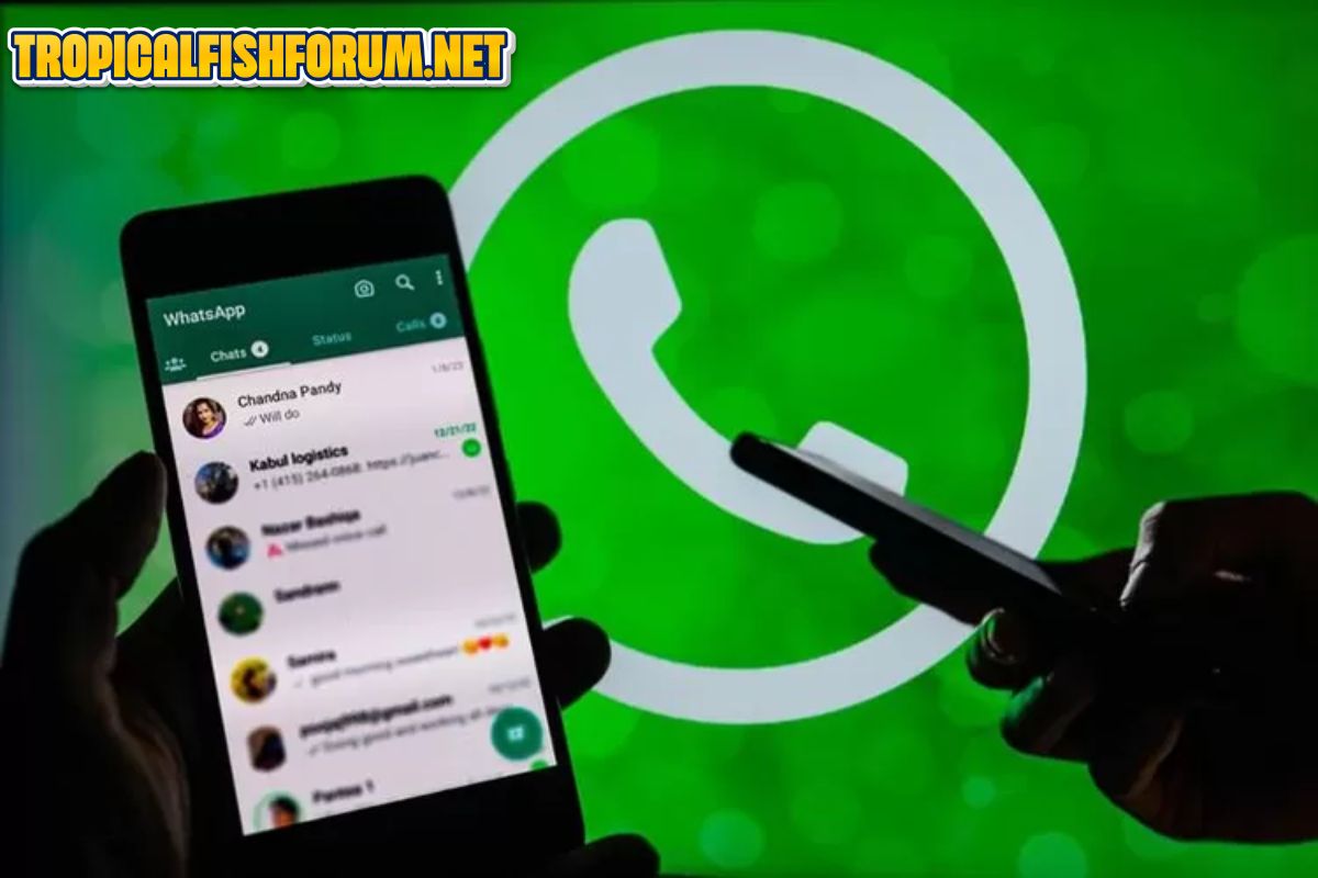 Ciri WhatsApp Disadap dari Jarak Jauh dan Cara Aman Atasinya